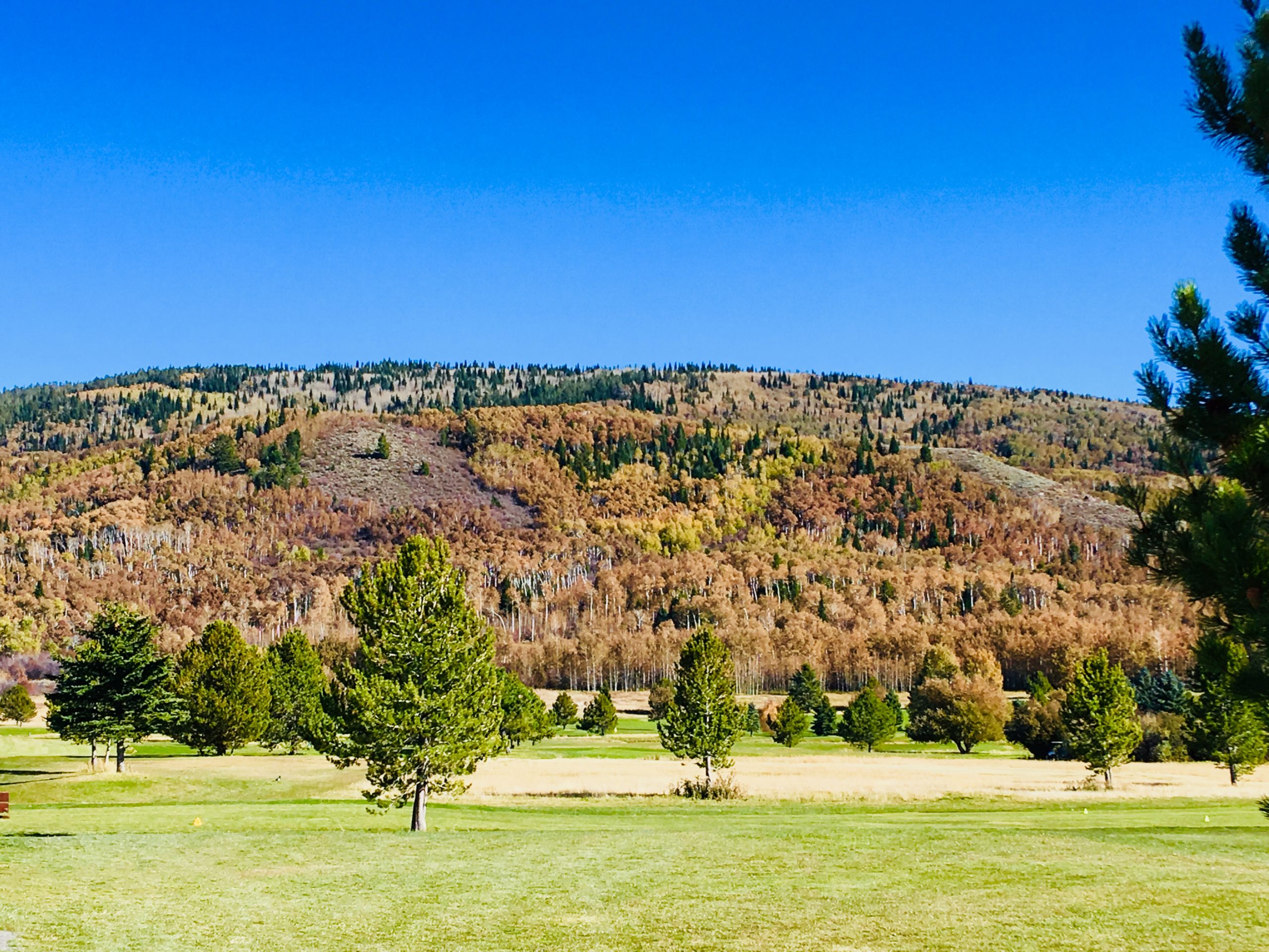 Targhee Golf Course & Range Womens Golf Day