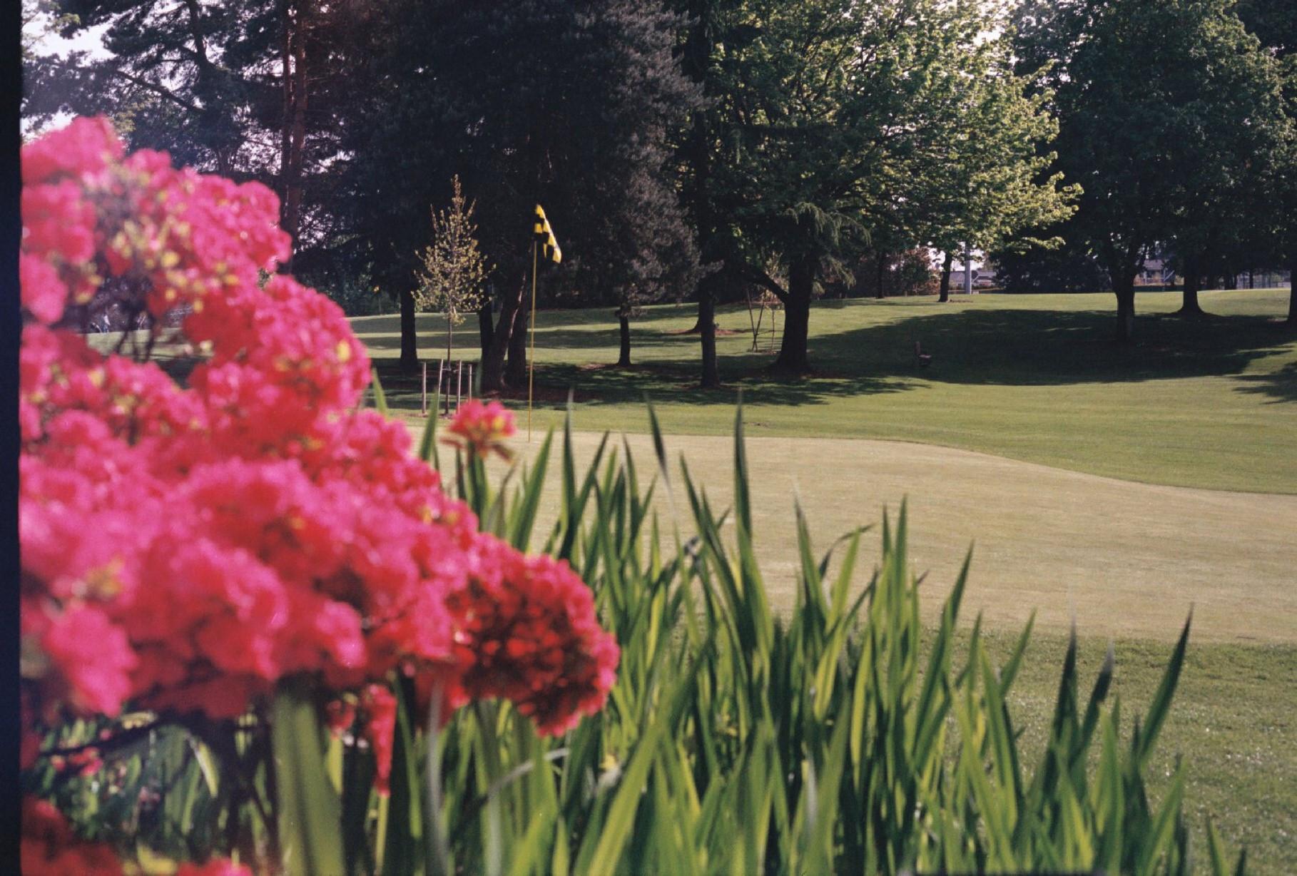 Lake Oswego Public Golf Course Womens Golf Day