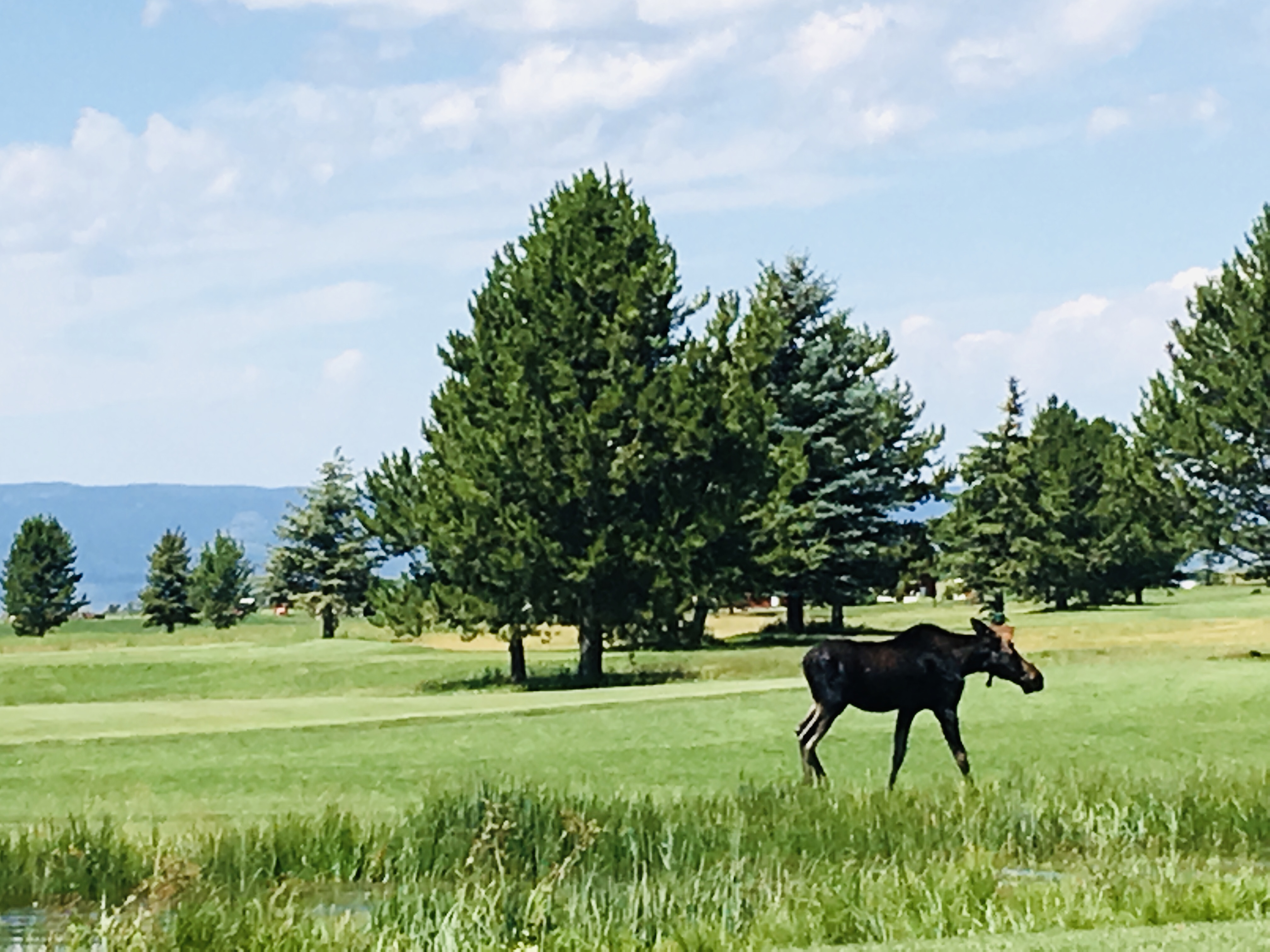 Targhee Golf Course & Range Womens Golf Day