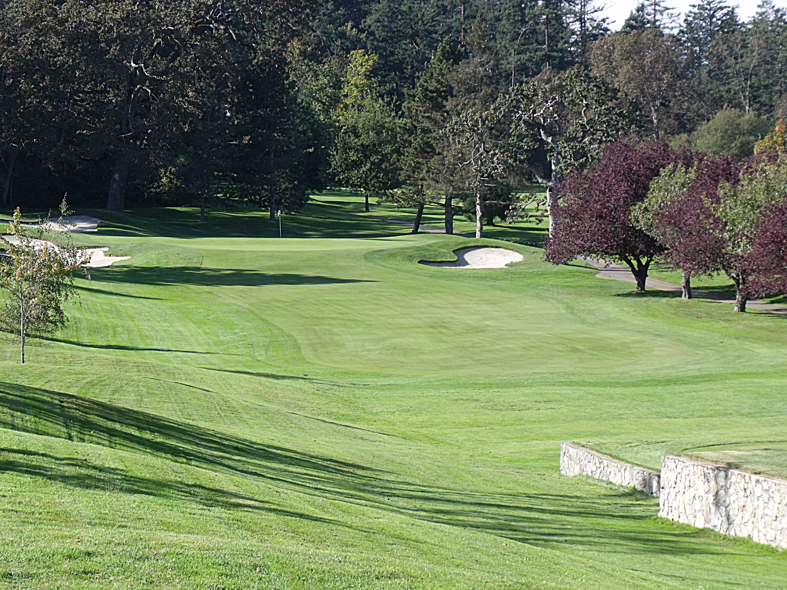 Vale Golf Club Womens Golf Day