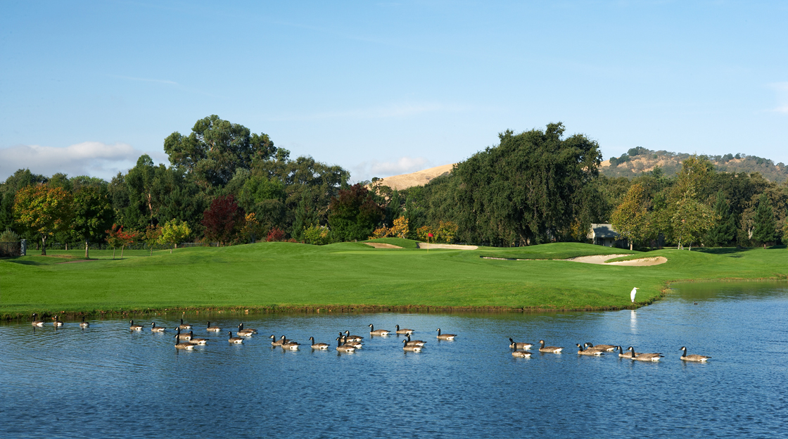 Paradise Valley Golf Course Womens Golf Day