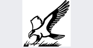 Osprey Logo 300x156