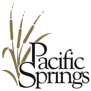 Pacific Springs Bronze 1 300x300